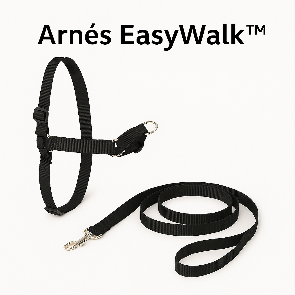 🐾 Arnés EasyWalk™ + Correa Antitirones – Paseos sin tirones y Envío Exprés 🚀