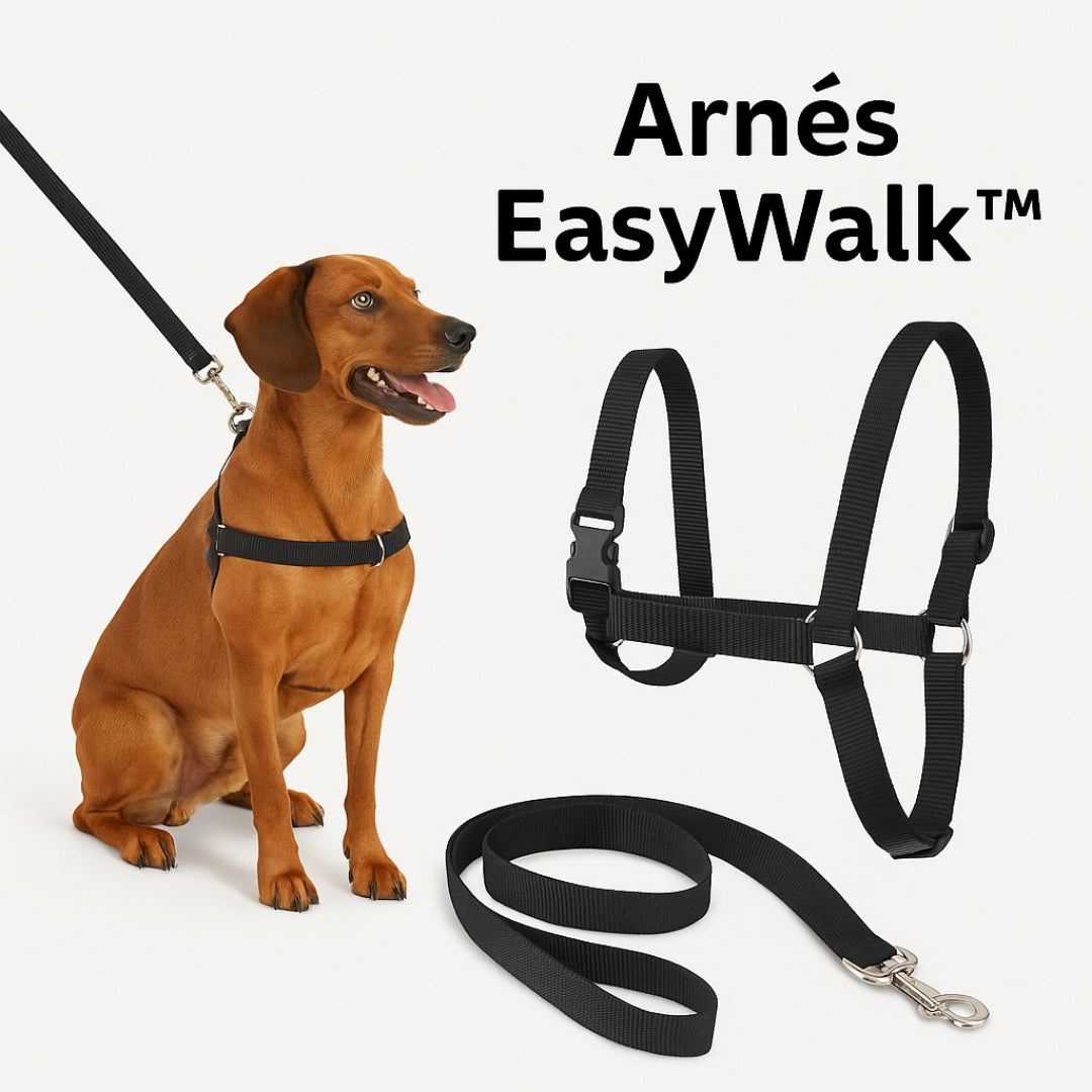 🐾 Arnés EasyWalk™ + Correa Antitirones – Paseos sin tirones y Envío Exprés 🚀