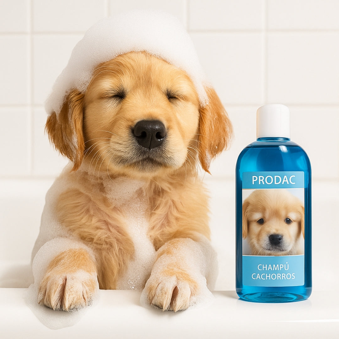 🧼 Champú Suave para Cachorros 🐶✨