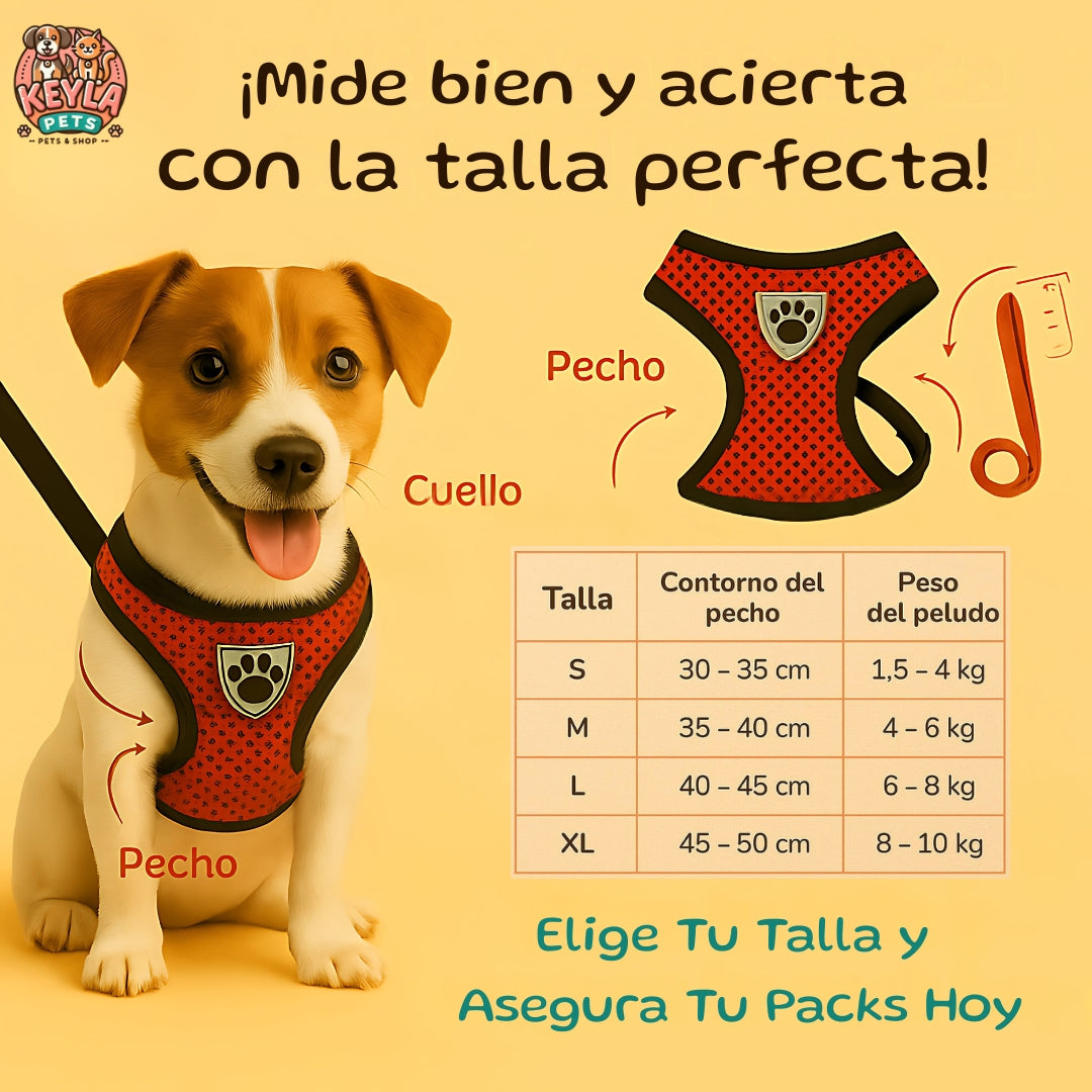 Pack Paseo de Verano 🐾