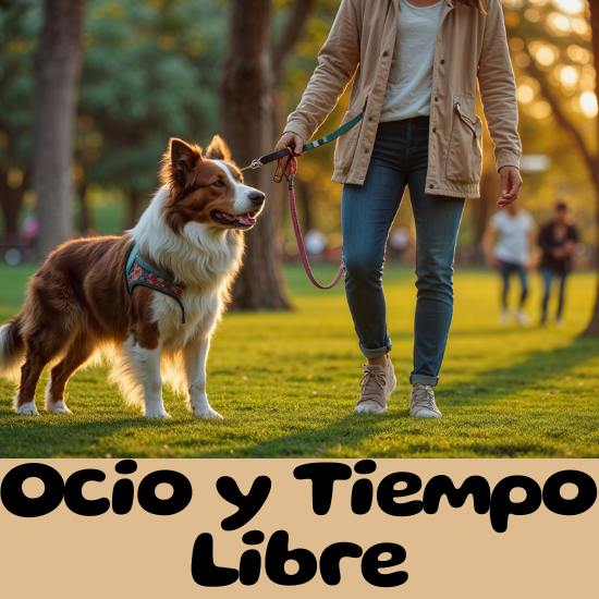 OCIO Y TIEMPO LIBRE