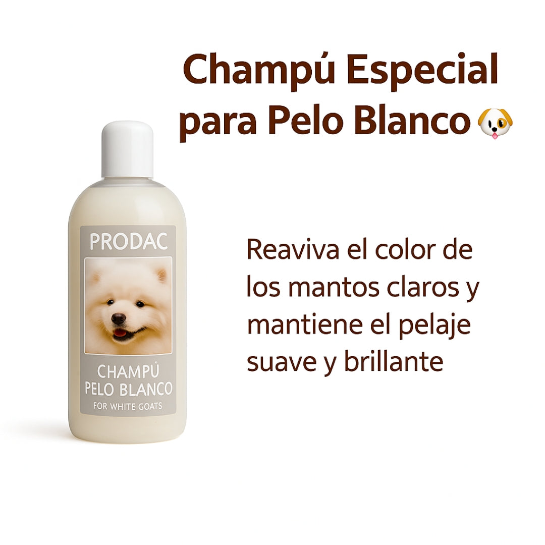 Champú Suave para Pelo Blanco – Brillo Natural para Peludos Luminosos 🐶🐾