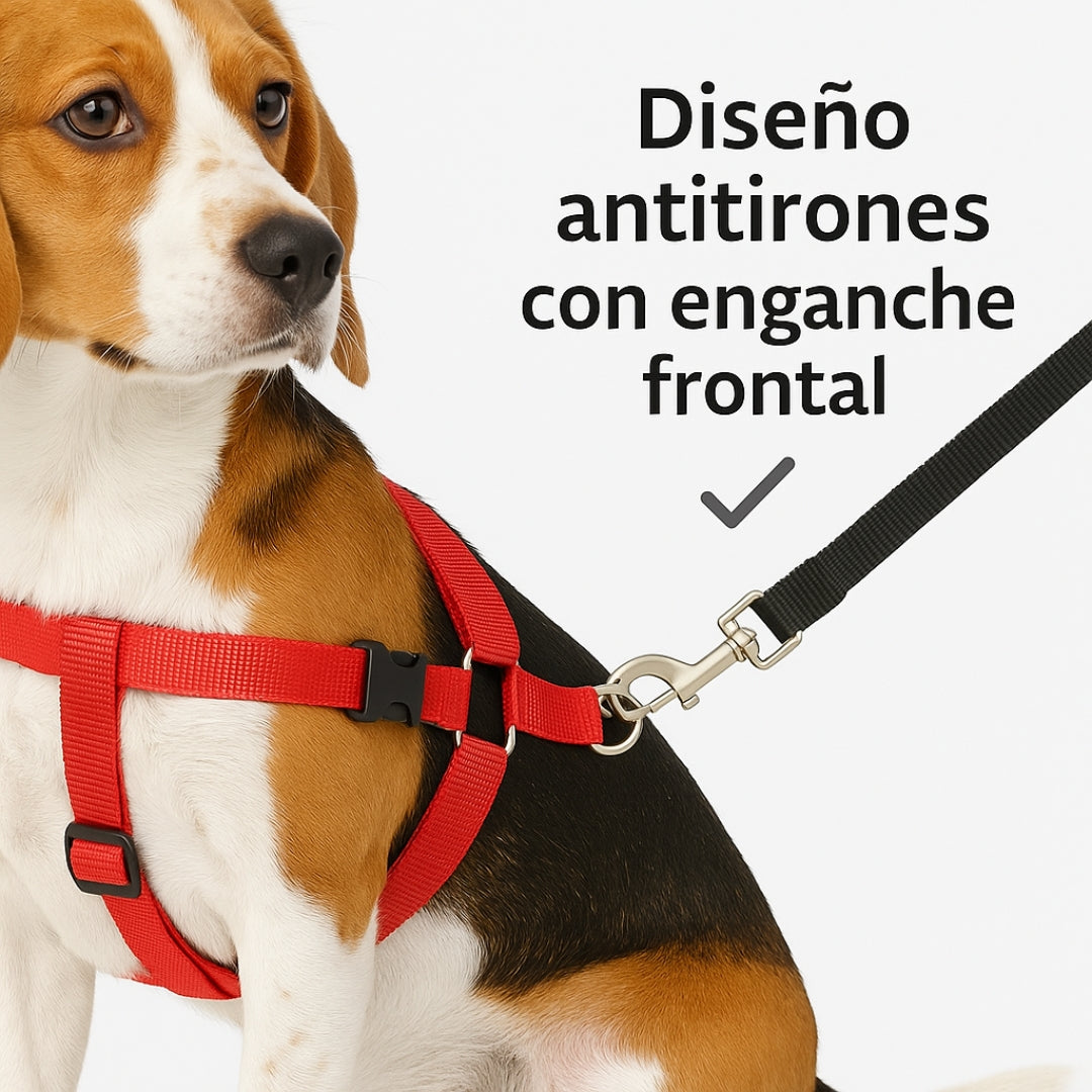 🐾 Arnés EasyWalk™ + Correa Antitirones – Paseos sin tirones y Envío Exprés 🚀