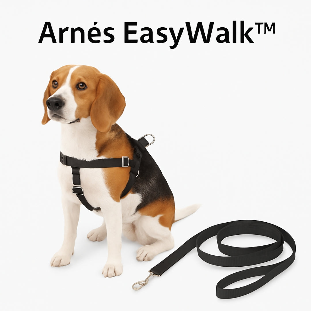 🐾 Arnés EasyWalk™ + Correa Antitirones – Paseos sin tirones y Envío Exprés 🚀