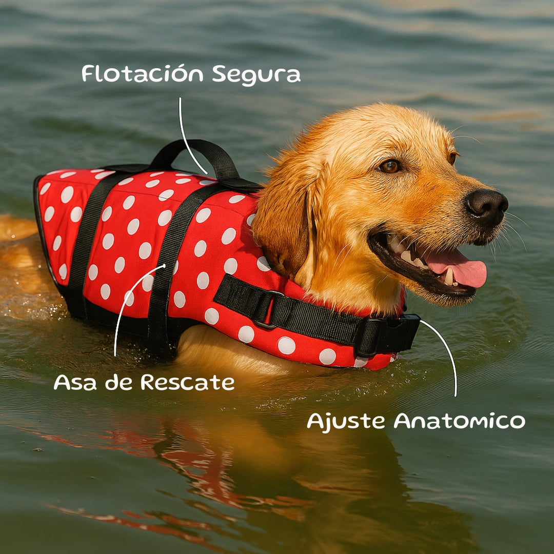 Chaleco Ajustable KeylaSafe. para Peludos – Tallas XXS a XXL