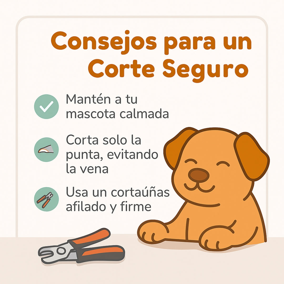 Cortaúñas Antideslizante para Peludos 🐾✂️