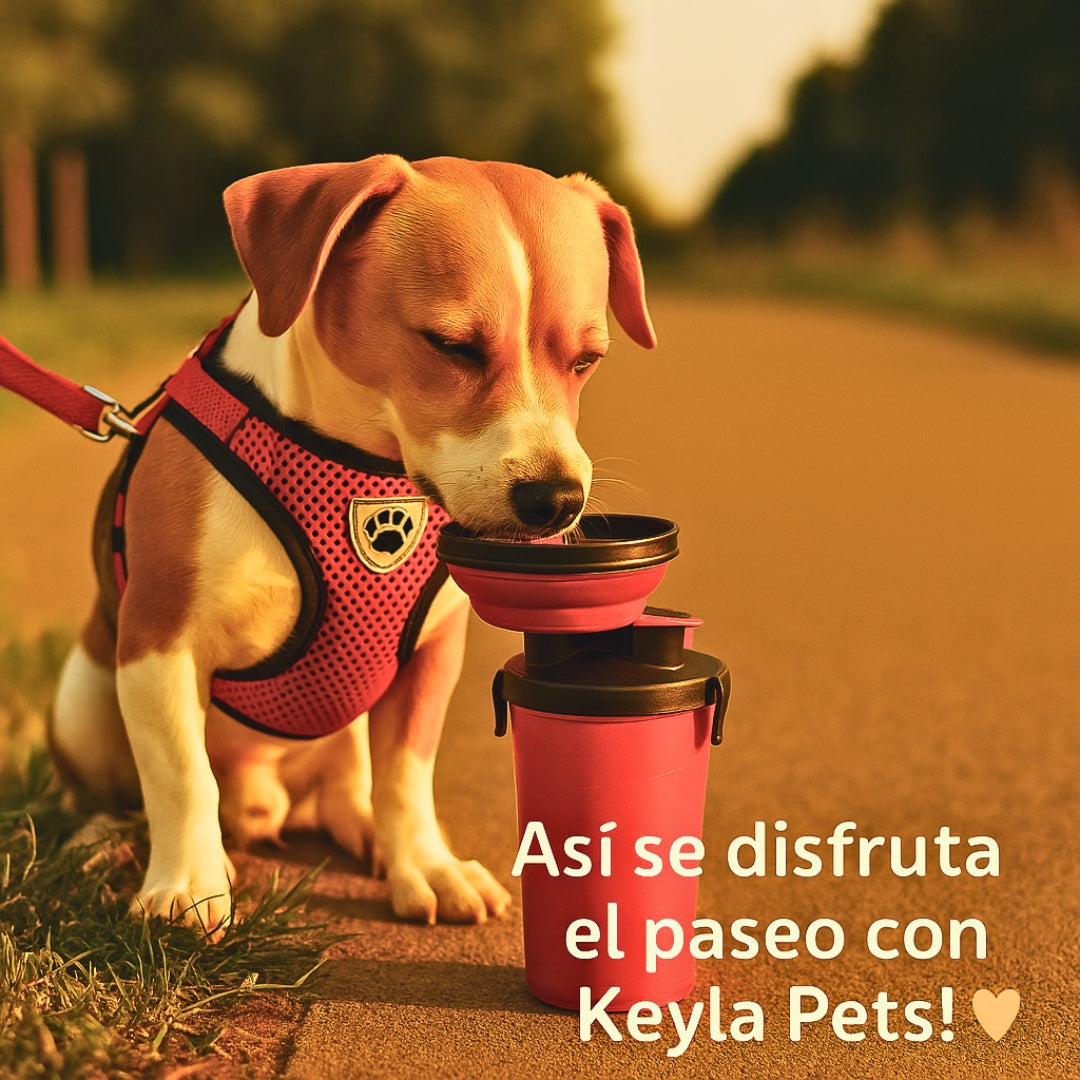 Pack Paseo de Verano 🐾