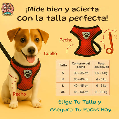 Pack Paseo de Verano 🐾