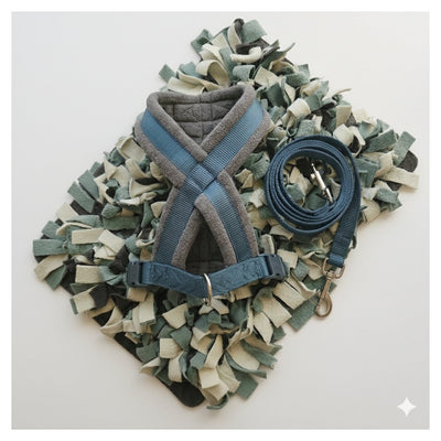 Set Paseo en Calma KeylaPets con arnés ergonómico, correa y alfombra olfativa para perro en tonos verde y beige.